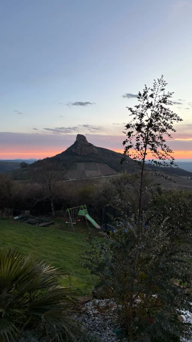 Les dégustations s’enchaînent au caveau en ce moment , l’arrivée du printemps 🤗

Pensez à réserver !